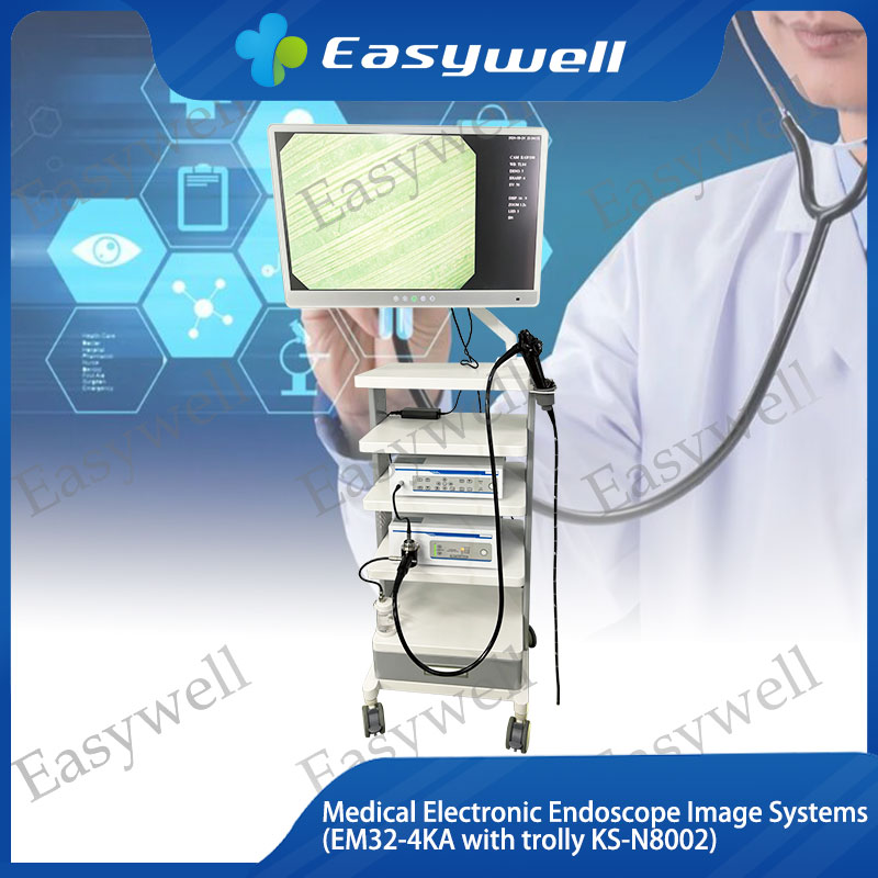 Medical Electronic Endoscope Image Systems